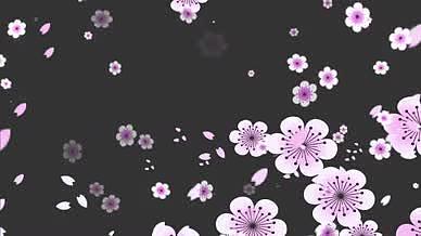 10s带通道花朵花瓣飞舞视频模板视频的预览图